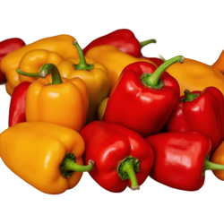 Piment frais