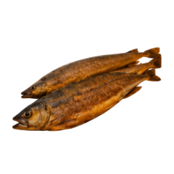 Barracuda fumé
